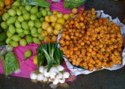 Oaxaca Fruits Tour List Page