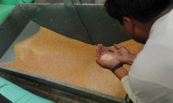 Quinoa fishing (215 of 265)