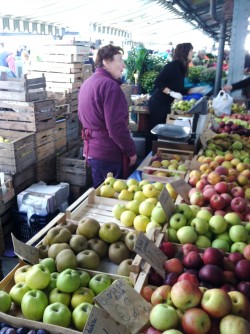 Apple vendor at Porta Palazzo