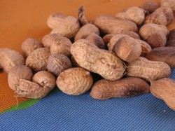 KONICA MINOLTA DIGITAL CAMERA