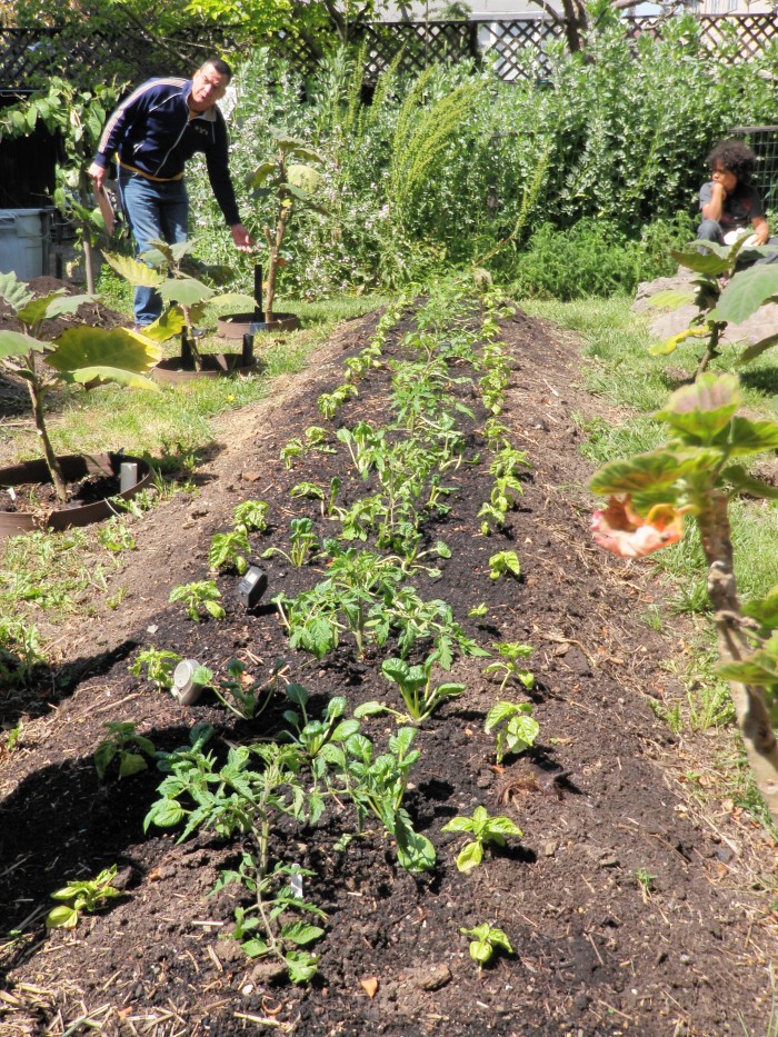 Urban Farmer Field Schools project in the East Bay