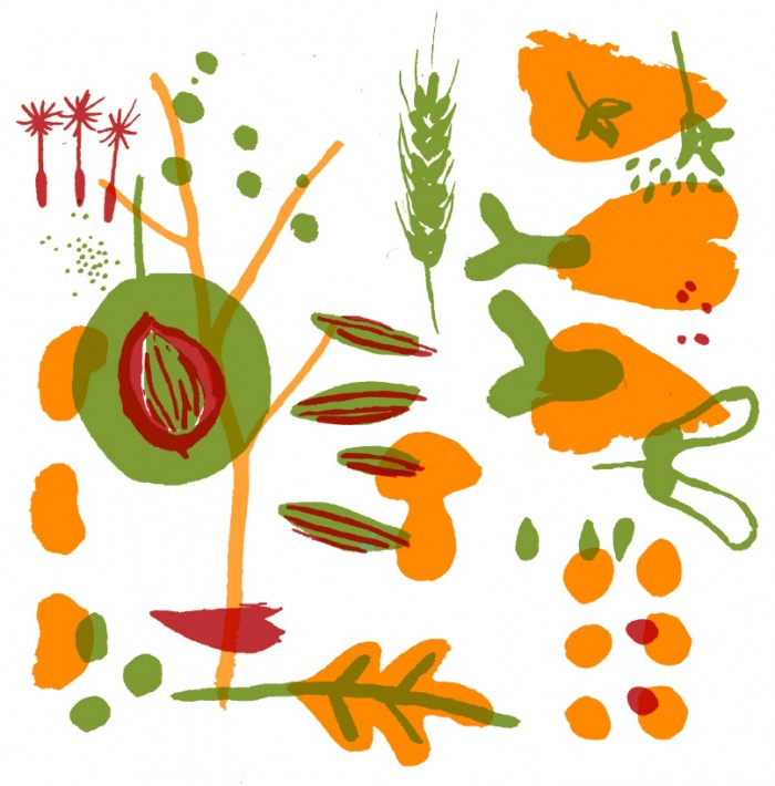 Nyeleni_Newsletter_Num_3_EN-1