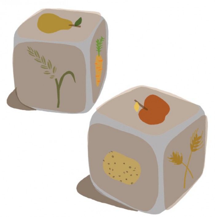 Nyeleni_Newsletter_Num_4_EN-1