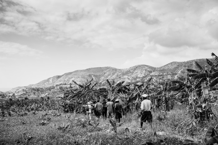 Haiti Land Rights Series Image 1_Bear Guerra