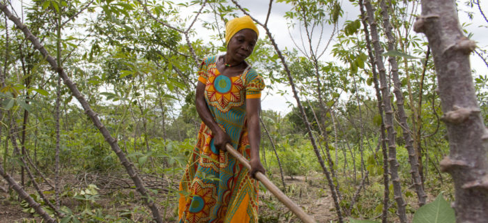 A Woman Works in her cassava field in Mkuranga district, Tanzania.